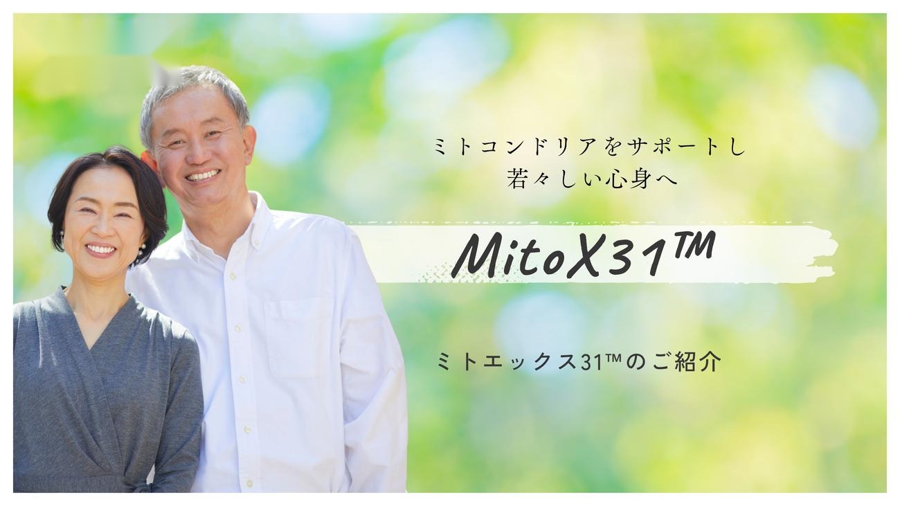 ミトエックス31 MitoX31